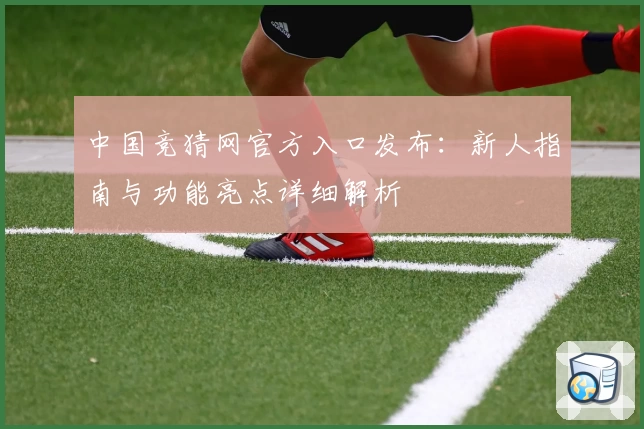 中国竞猜网官方入口发布：新人指南与功能亮点详细解析