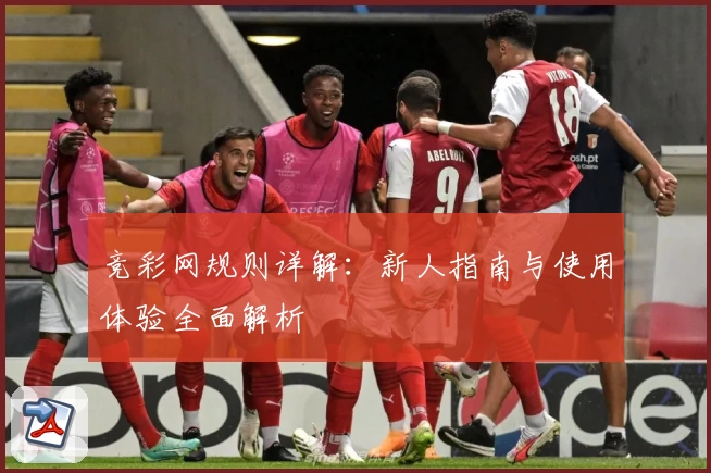 竞彩网规则详解：新人指南与使用体验全面解析