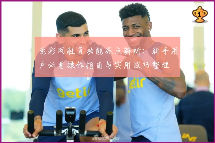 竞彩网胜负功能亮点解析：新手用户必看操作指南与实用技巧整理