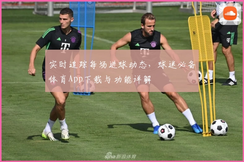 实时追踪每场进球动态,球迷必备体育App下载与功能详解