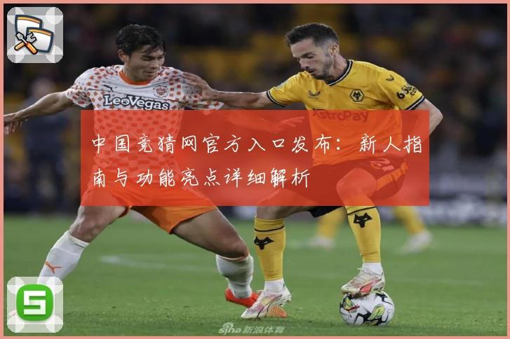 中国竞猜网官方入口发布：新人指南与功能亮点详细解析